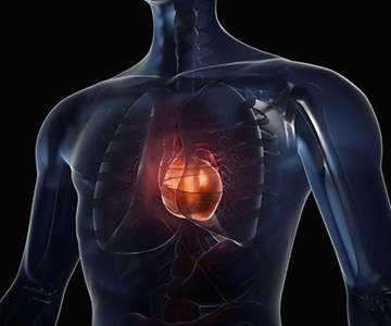 Illustration of bright heart inside of chest