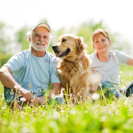 Older couple resting in green-yellow meadow with a smiling golden retriever.