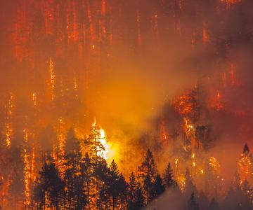 Bright yellow flames glow through the smoke in a North American forest.