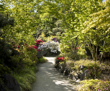 Walking path in the Japanese Healing Gardens in Lebanon, Oregon.