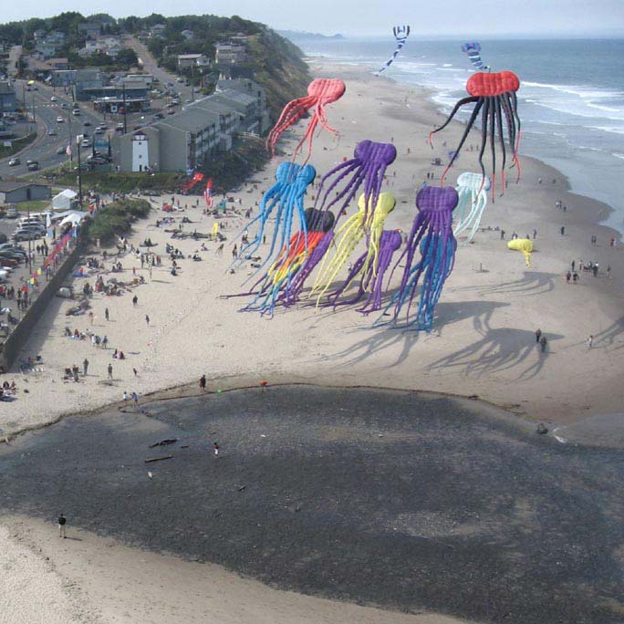 Kites flying in the sky over a beach in Lincoln City, Oregon
