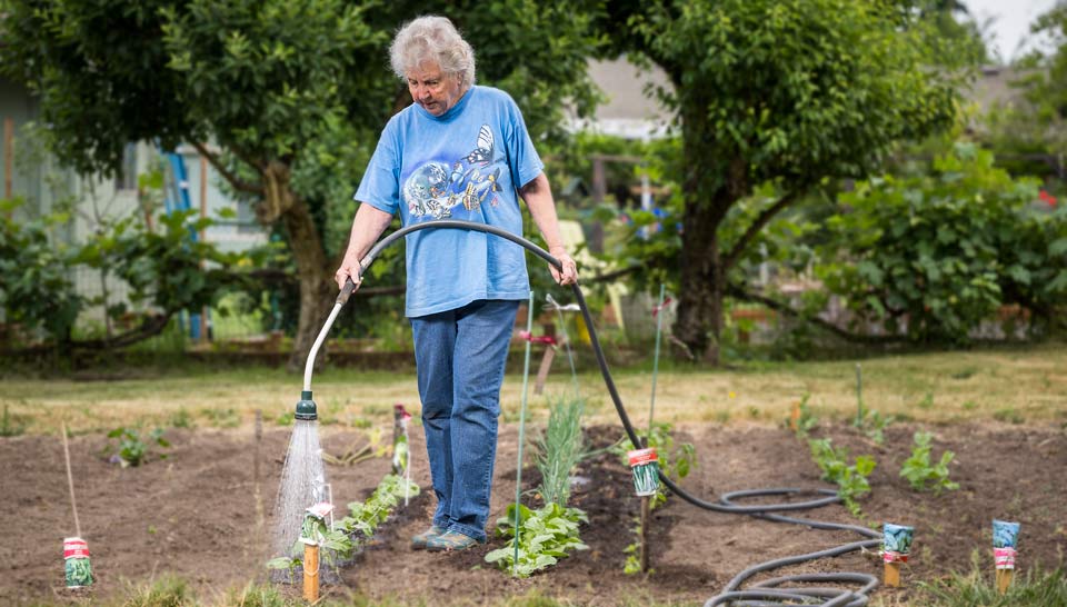 Carol watering her garden.