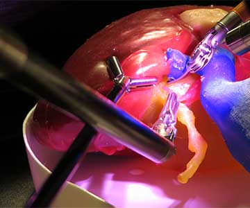 Lazarus 3d training tool